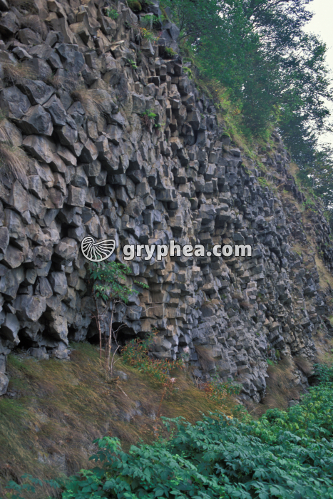 Orgues basaltiques - gryphea.com